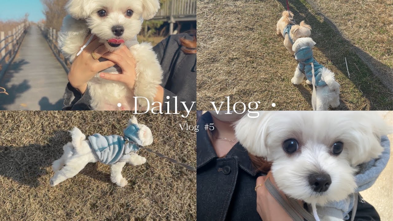 【Vlog#５】お出かけ日和の１日☀️