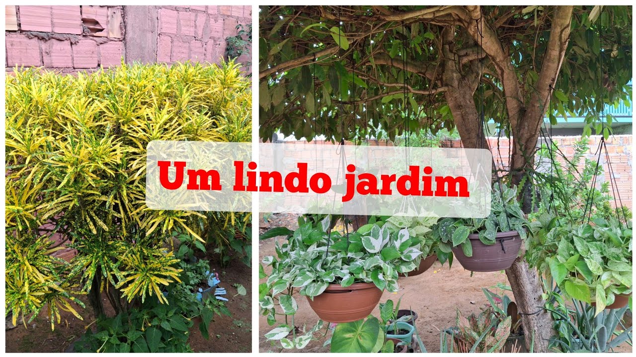 TOUR POR UM JARDIM DE UMA AMIGA COM LINDAS FOLHAGENS COLORIDAS E BEM CUIDADAS🤩