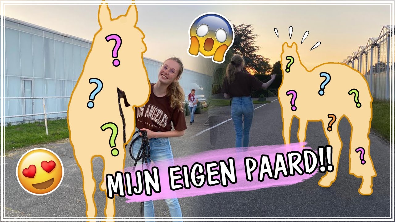 HEB IK EEN EIGEN PAARD?! 😱🐴 | Stefanie Darkson
