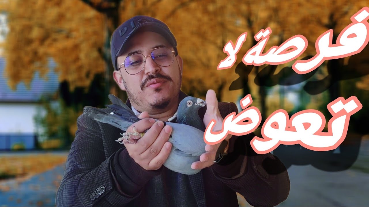 تعريف🙋 إخوان شوني/ بن عزي💯🇲🇦 وكذلك فرصة من ذهب🤝☝️