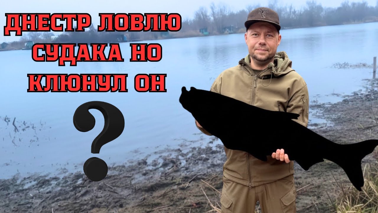 Днестр, выезд на Судака, но клюнул ОН? #fishing #рыбалка #днестр 