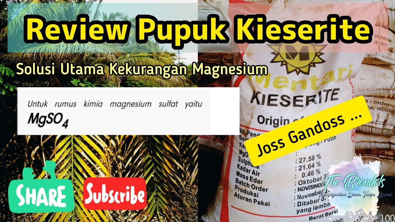 Pupuk Kieserite 