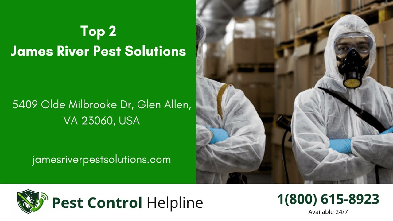 Top 3 Pest Control in Innsbrook