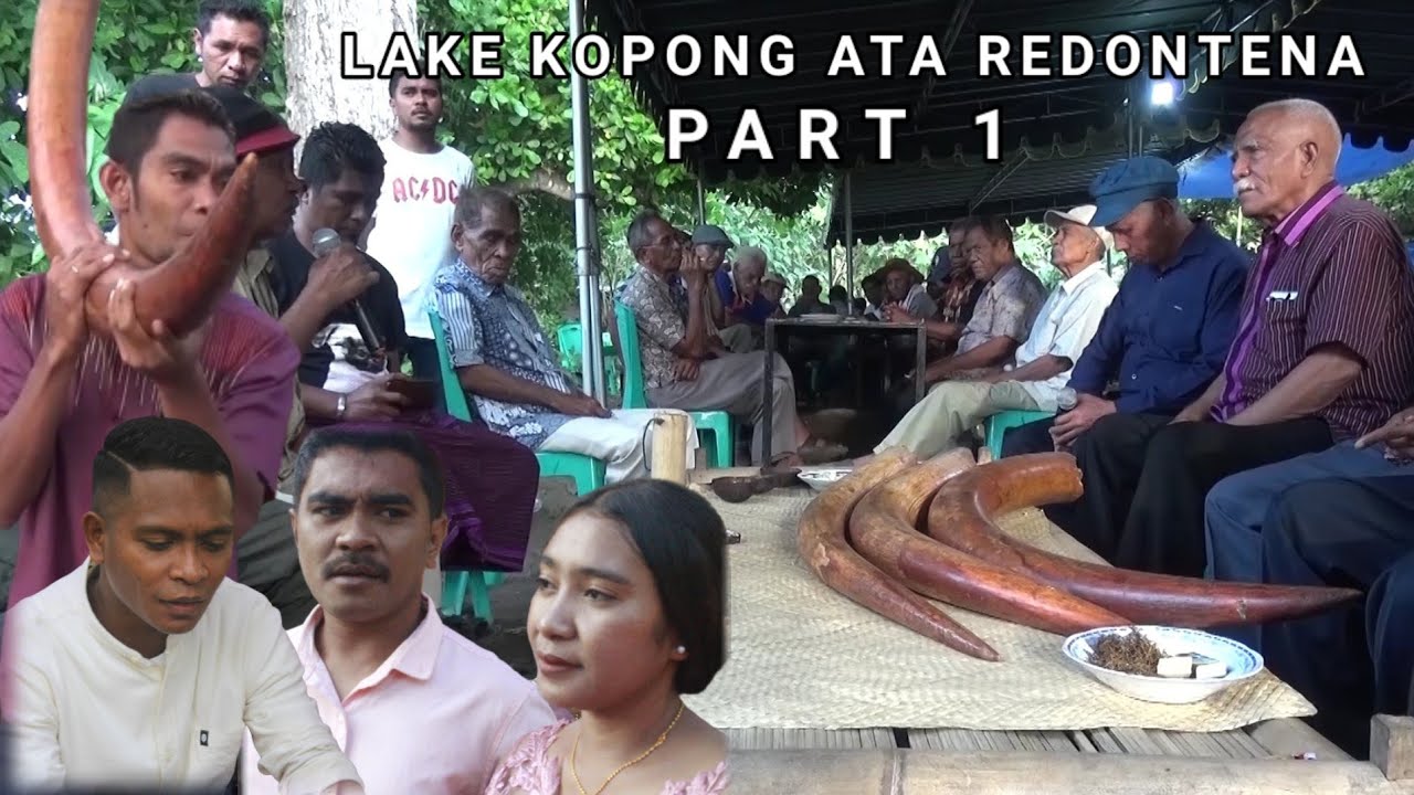 HANTAR GADING (BELIS ORANG ADONARA )GADING GAJA
