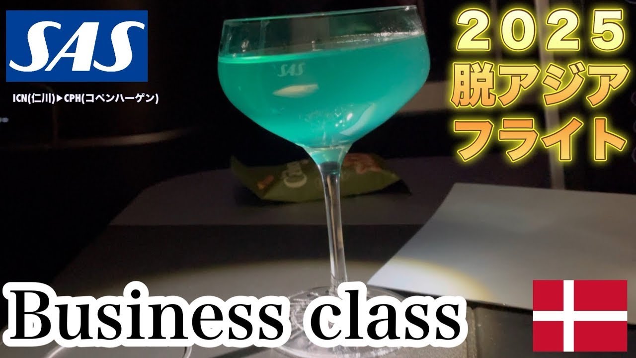 【SAS🇳🇴🇸🇪🇩🇰】【スカンジナビア航空】【ビジネスクラス】ソウル仁川→コペンハーゲン〜2025脱アジアフライト