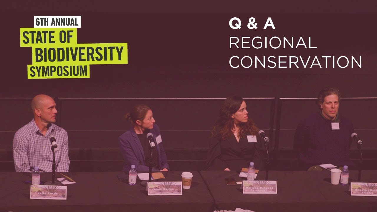 Q&A | Anna Becker, Mariana Delgado Fernández, Julio Lorda, and Ignacio Vilchis