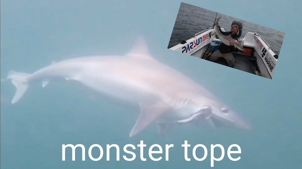Big tope bonanza with Simon Higham at Pwllheli