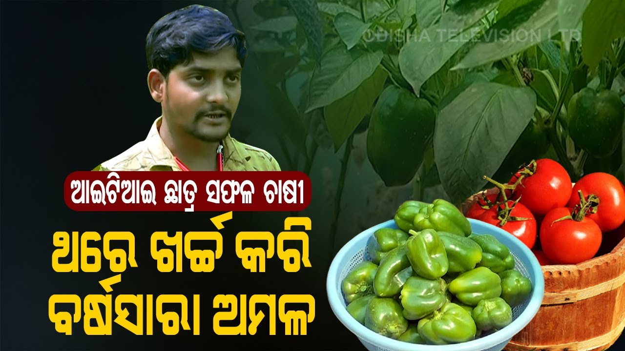 Special Story | Balasore Youth Becomes Successful Farmer Through Hydroponic Farming