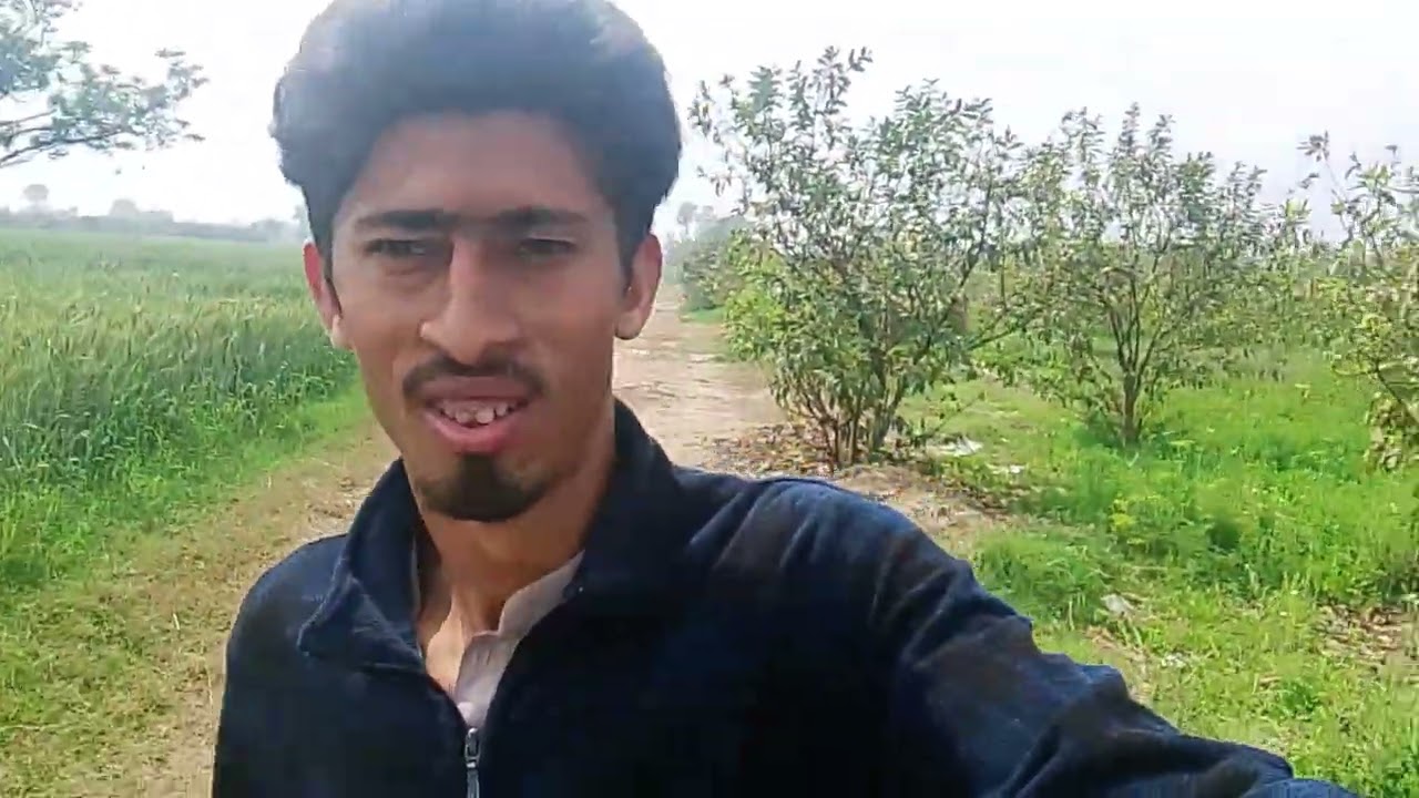 میرے گاؤں میں امرودوں کے باغ 
