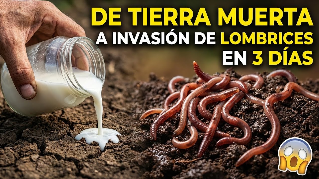 Vertí esto en mi jardín muerto… ¡y miles de lombrices aparecieron en 3 días!