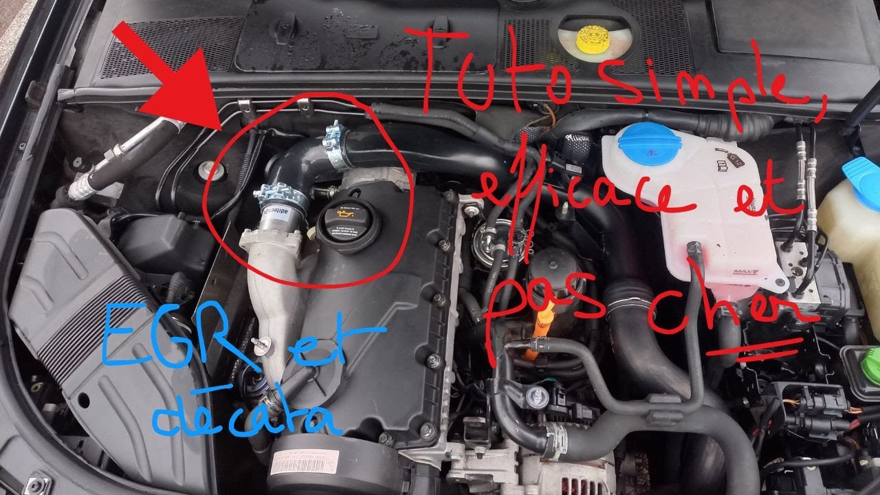 SUPPRIMER  l'EGR et VIDER le CATALYSEUR sur 1.9TDI AVF
