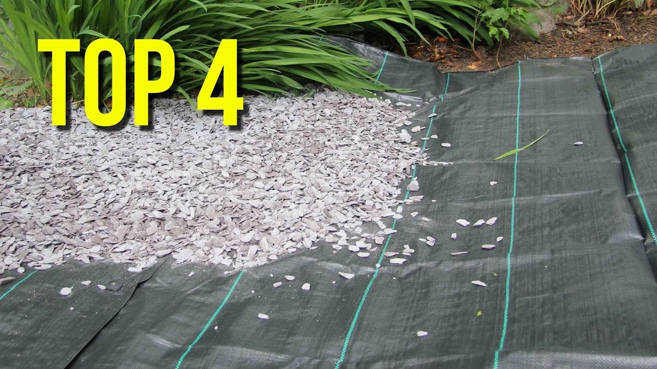 TOP 4 : Meilleure Toile de Paillage 2022