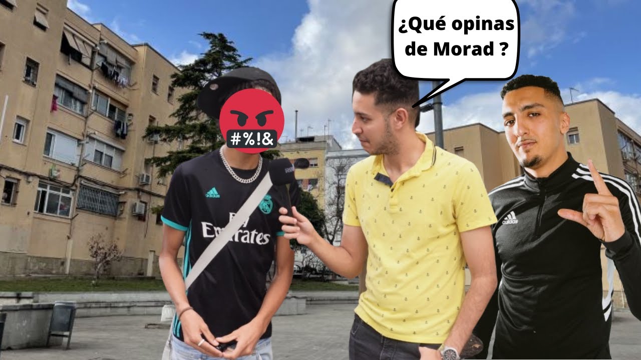 Lo que REALMENTE piensan de MORAD