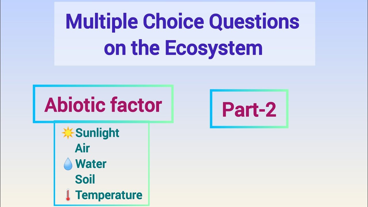 Multiple Choice Questions on the Ecosystem