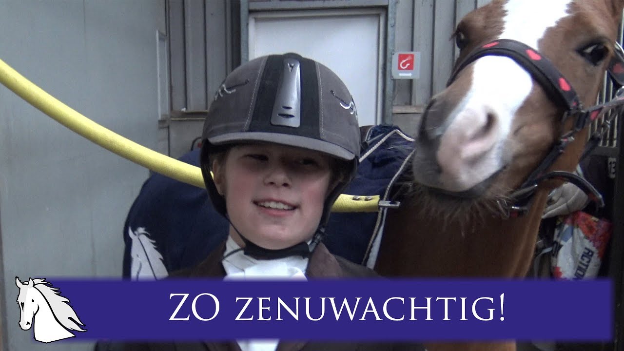 Tes en Bell doen hun eerste proeven KNHS BB  december 2017 * Hart voor Paarden *