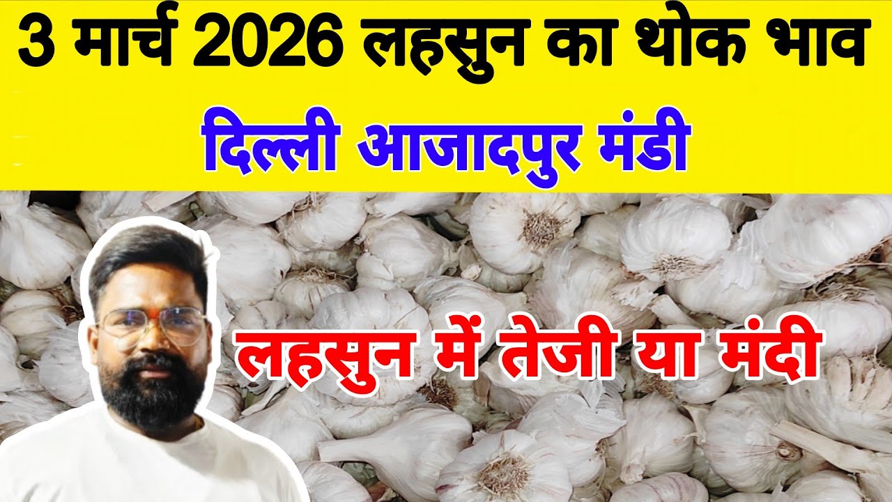 3 March 2026 | Today Garlic Market Price | Garlic Price The Shocking Prediction #mandirates #garlic