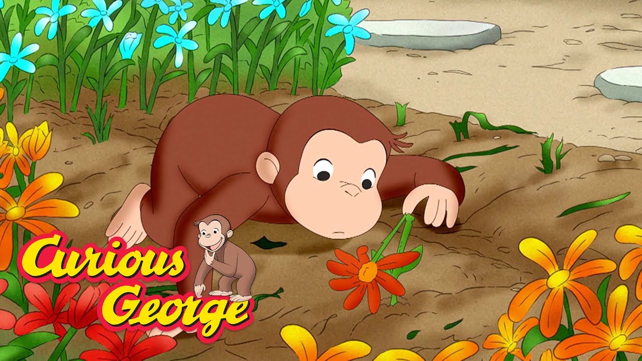 Curious George 🌷 George's Flowers 🌷 Kids Cartoon 🐵 Kids Movies 🐵 Videos for Kids