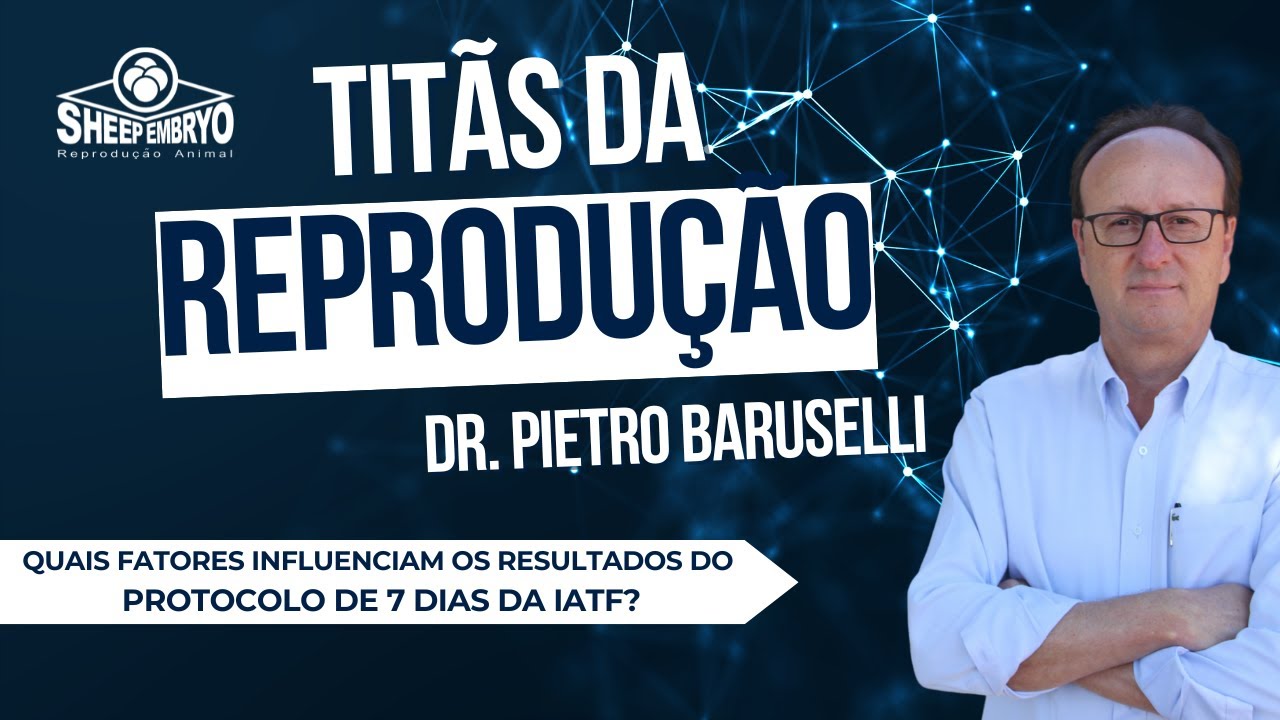 Quais fatores influenciam os resultados do protocolo de 7 dias da IATF?
