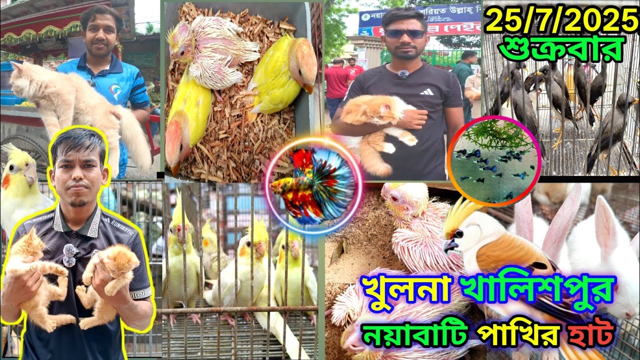খুলনা খালিশপুর নয়াবাটি পাখির হাট Khulna khalishpur noyabati pakhir hat #marufbillarubel for you