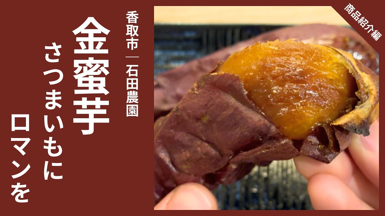 【必食】究極のさつまいも！最高糖度75度の金蜜芋を実食（香取市｜さつまいもの石田農園）