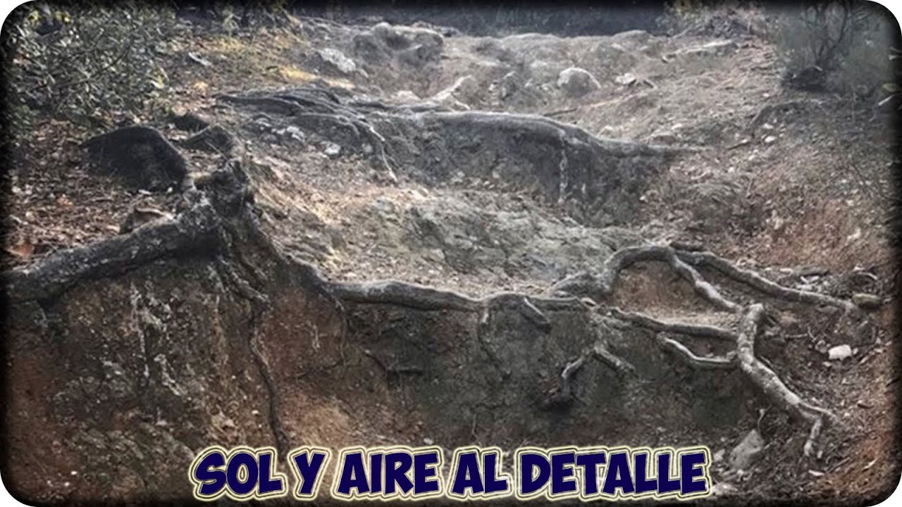 TODAS las TRIALERAS de SOL Y AIRE | Ruta MTB Collserola