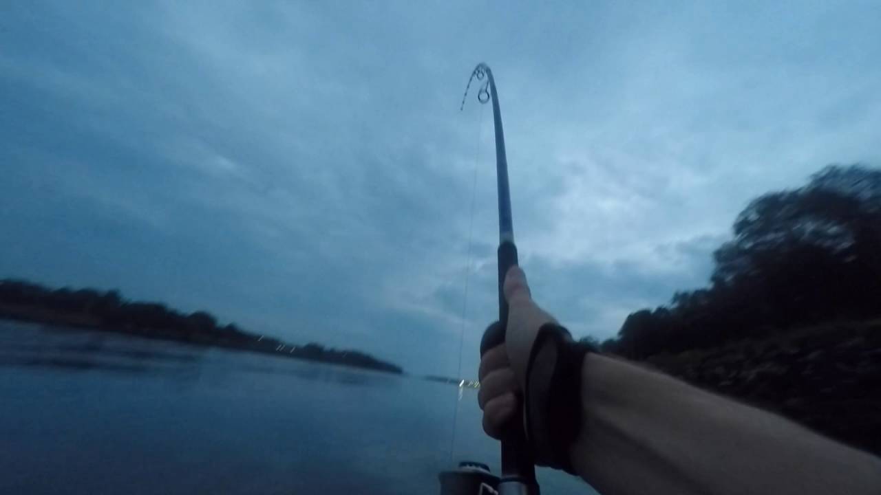 Cape Cod Canal Fishing 8/31-9/2/16