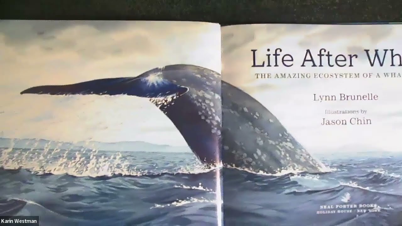 Life After Whale: The Amazing Ecosystem of a Whale Fall