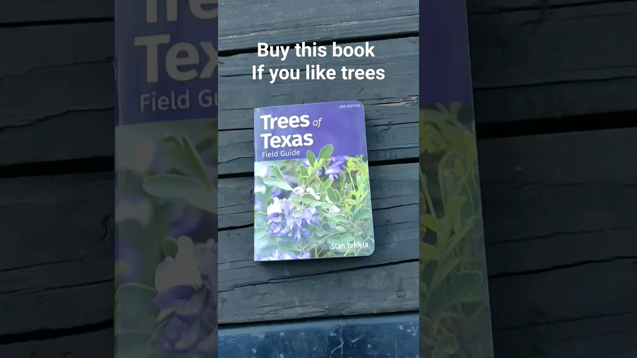 I just got this cool book. Trees of Texas Field Guide - Stan Tekiela