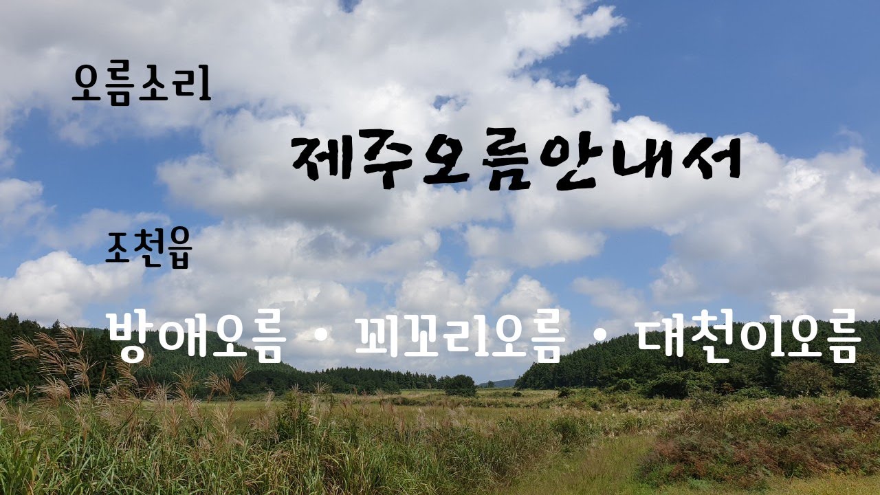 86. (2021.9.20) 제주시 조천읍 교래리에 위치한 방애오름.족은방애오름, 대흘리에 위치한 꾀꼬리오름, 선흘리에 위치한 대천이오름 탐방로 및 경관 소개
