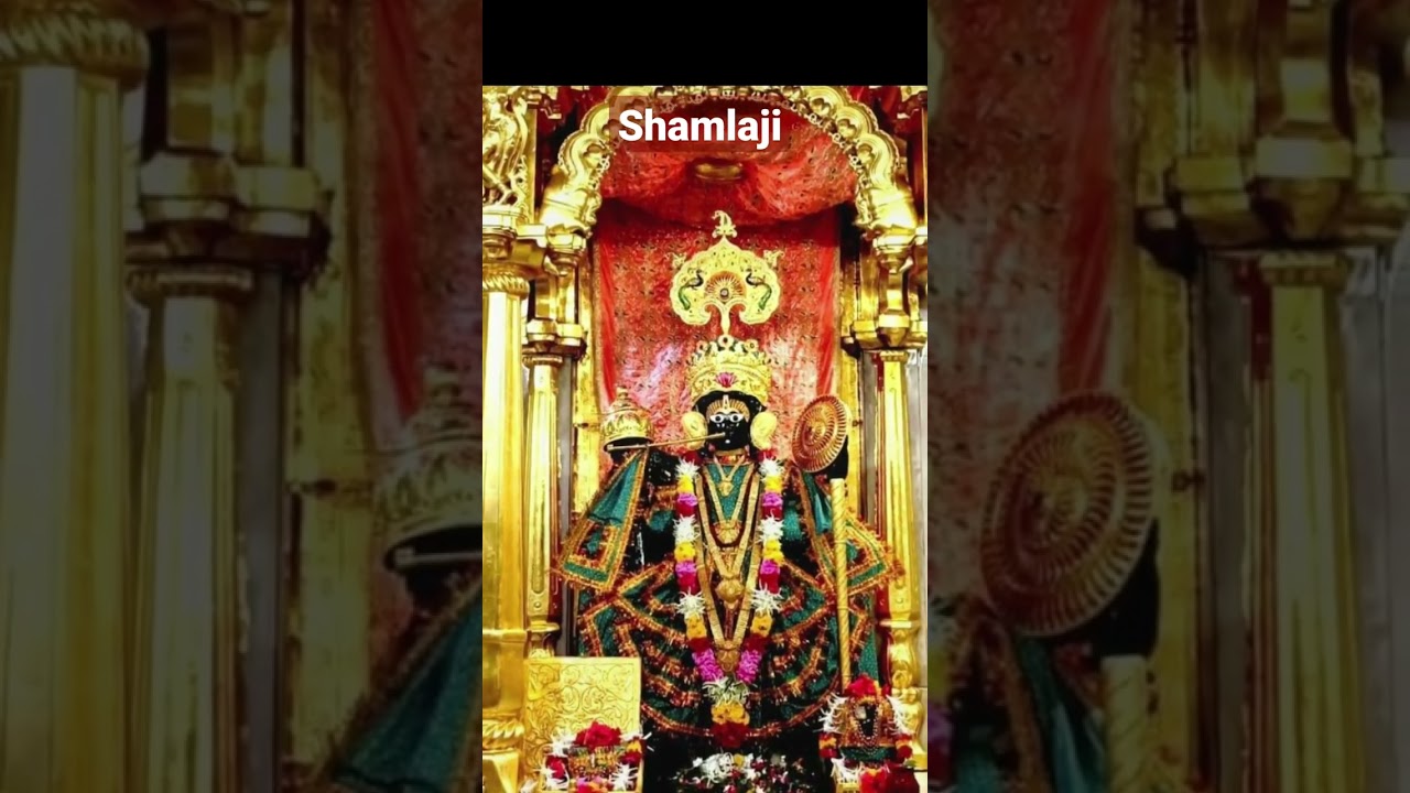 shamlaji darshan#shamlaji vlog#shorts#v chanel