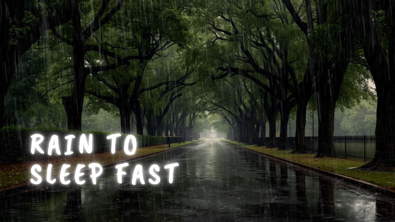 Gentle Park Rain Sounds for Sleeping Fast 🌧️ Relaxing Night Rain Ambience for Deep Sleep