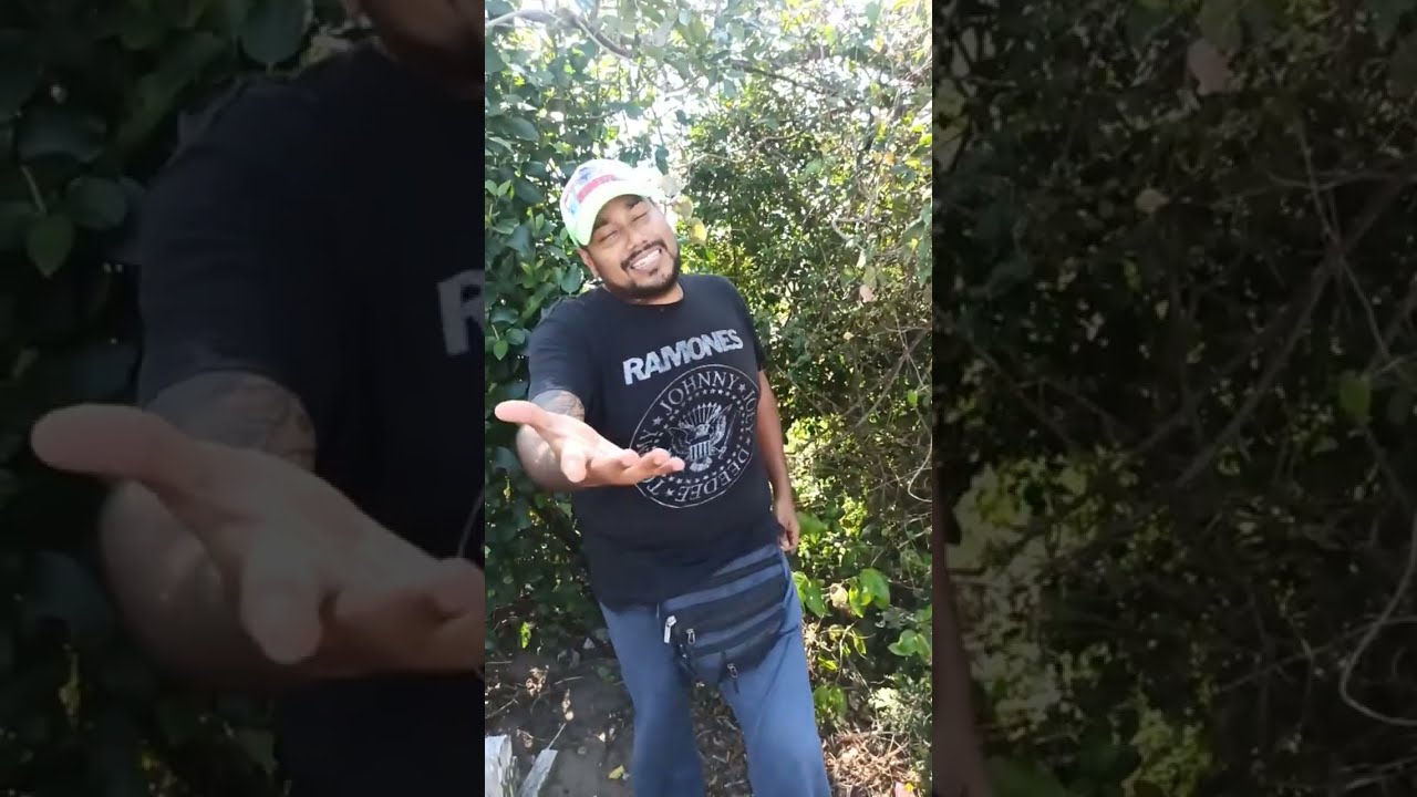 Zona Paranormal Veracruz 2.0 está en vivo
