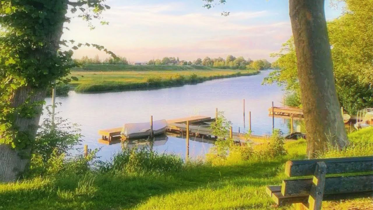 a quiet playlist for romanticizing living a quiet life🍀 (studying, calming & focus)