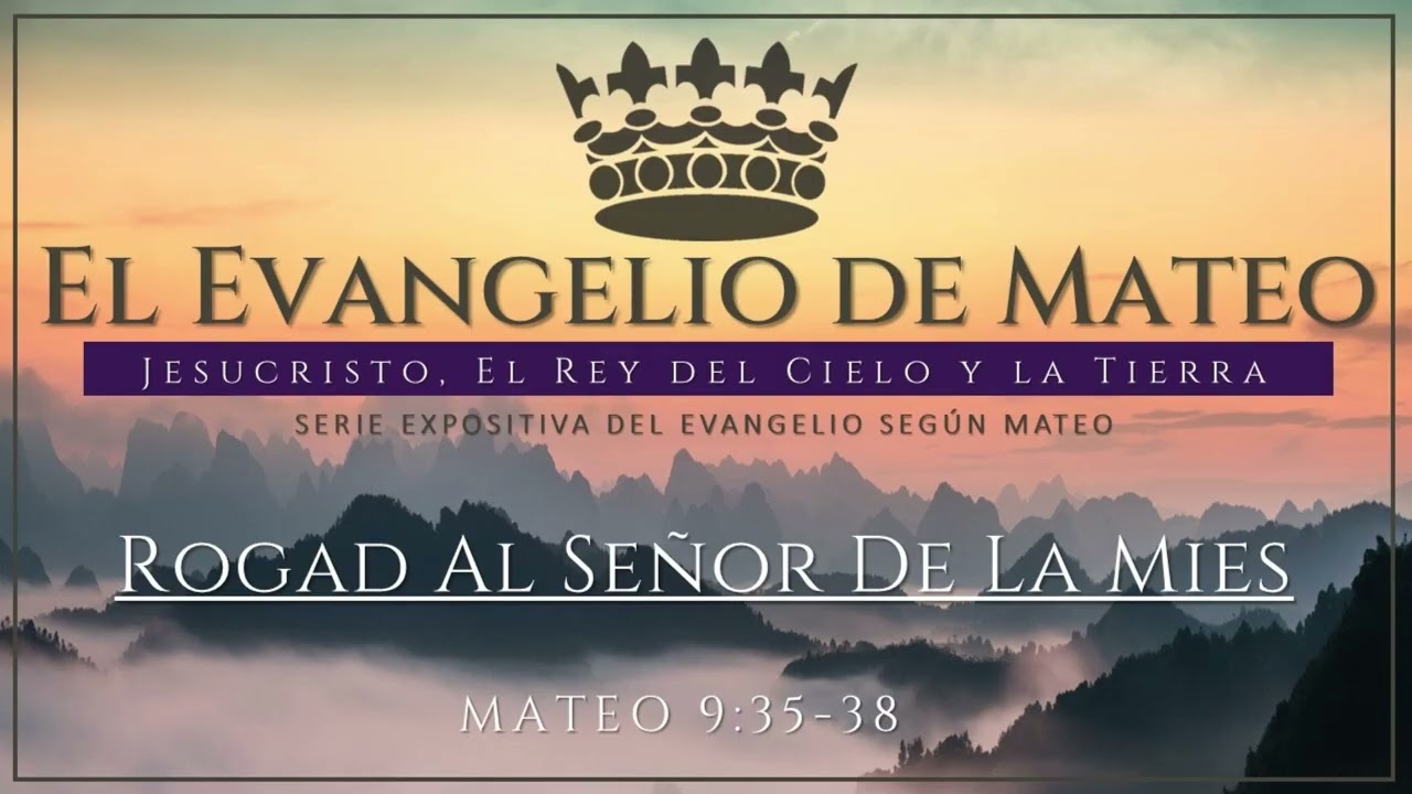 Mateo 9:35-38 