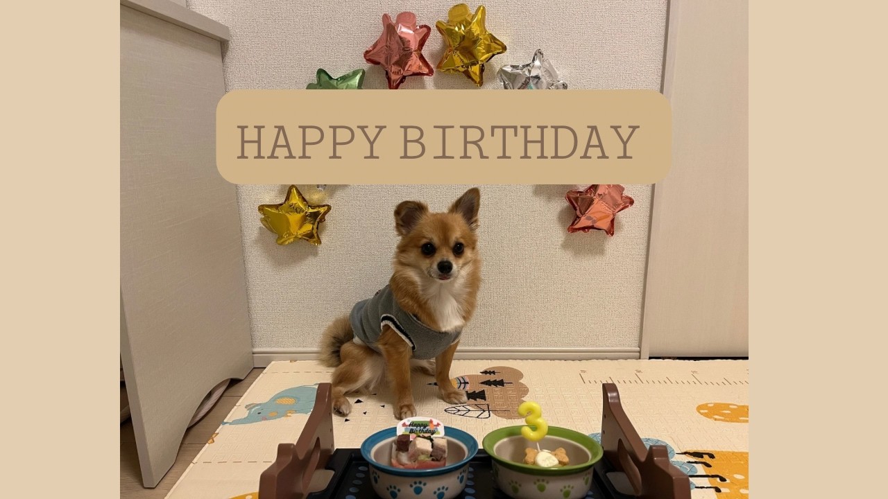 3歳の誕生日🎂🎉