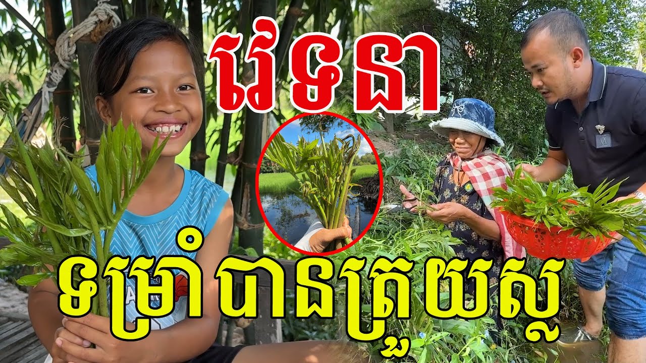 ម្ចាស់ថ្លៃ ទម្រាំបានត្រួយស្ល ទើបស្គាល់ឃើញច្បាស់