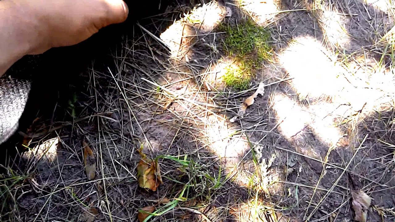 Ковры(Коврики) VW TOURAN 2003-2010 c Alegro.pl