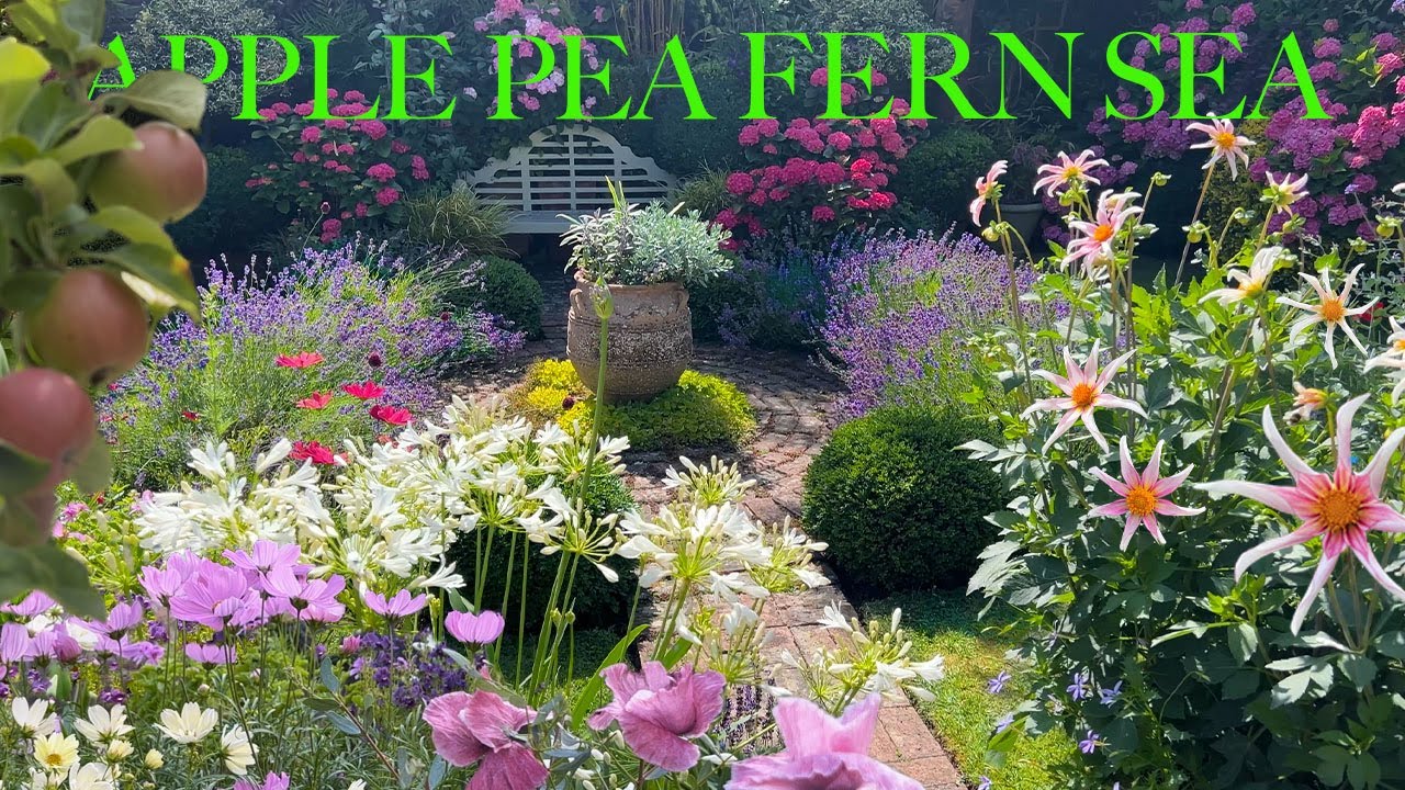 Small English Garden July Tour! Gorgeous Dahlia Blooms, Pretty New Poppies, Rose & Hydrangea Romance