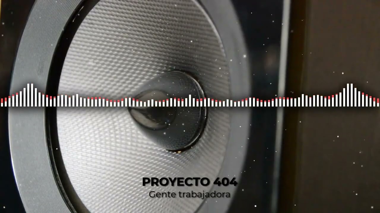 Gente trabajadora (visualizer)