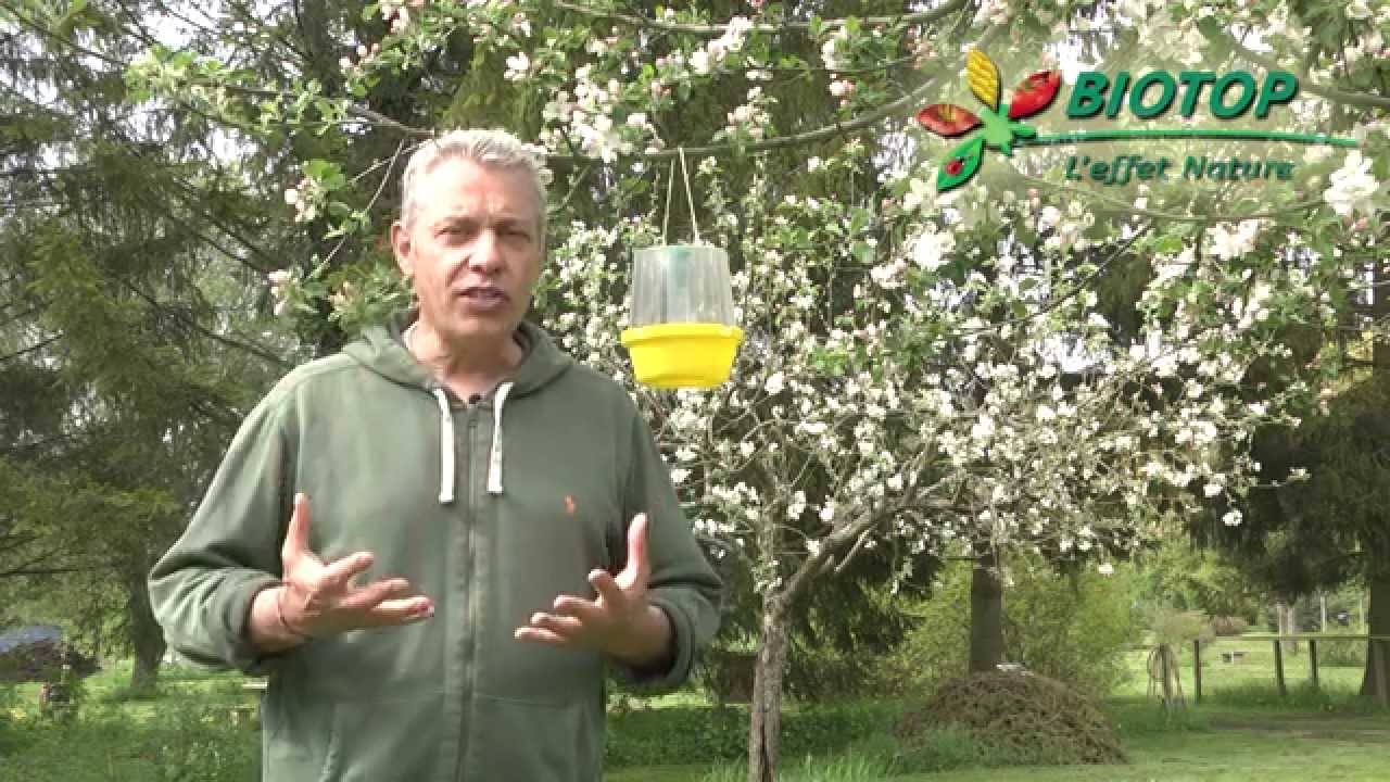 Piège détection de grande capacité Biotop