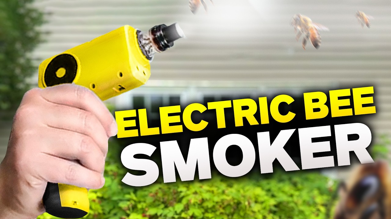 What is an Electric Bee Smoker? Everything you need to know! ⚡️🐝💨