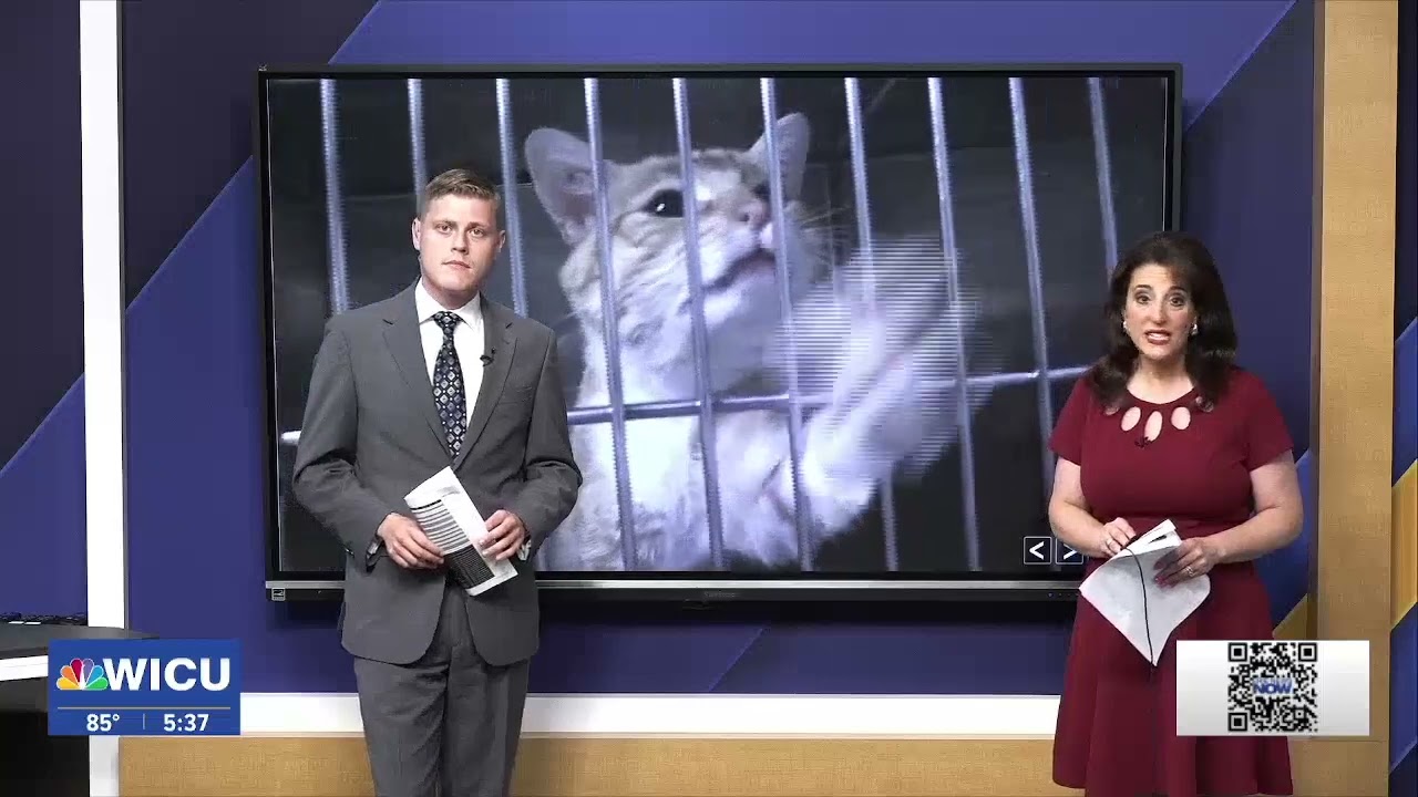 Social Media Buzz: National Poll Worker Day, ANNA Shelter Rescue