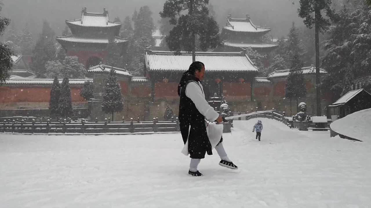 Master Gu Sword in Dancing Snow