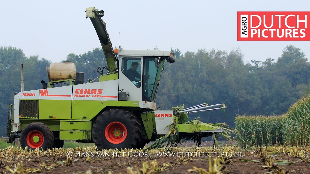 Mais hakselen 2016, Claas Jaguar 695 MEGA! | Melkveehouderij Brink |Maishäckseln|Harvesting maize|NL