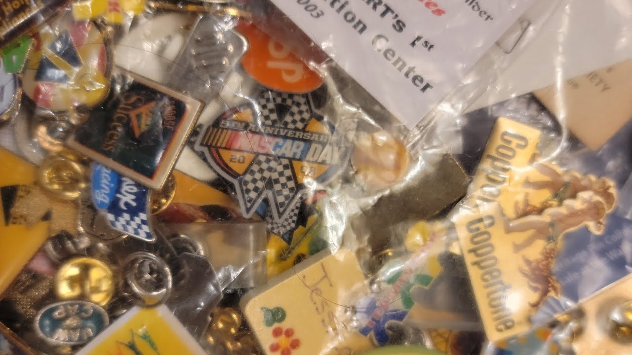 Walmart Sam's Nascar Pin Find at Flea Market