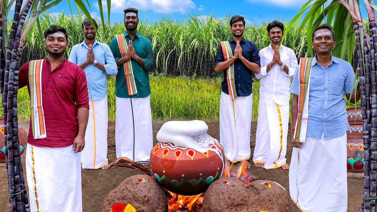 Traditional Pongal Festival Celebration in Village | Pongal Celebration! | Thai Pongal | VCF