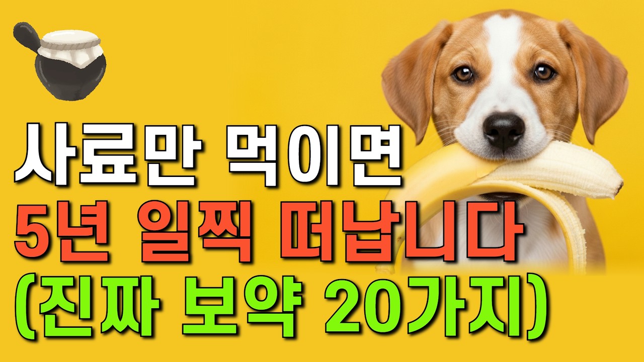 수의사가 절대 안 가르쳐주는, 강아지 수명 5년 늘리는 20가지 음식![광고]