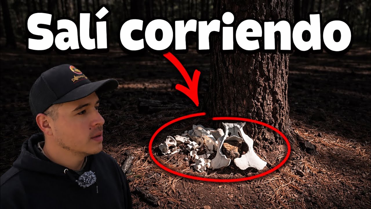 ENCONTRÉ HUESOS EN EL BOSQUE… Y TERMINÉ CORRIENDO 😨