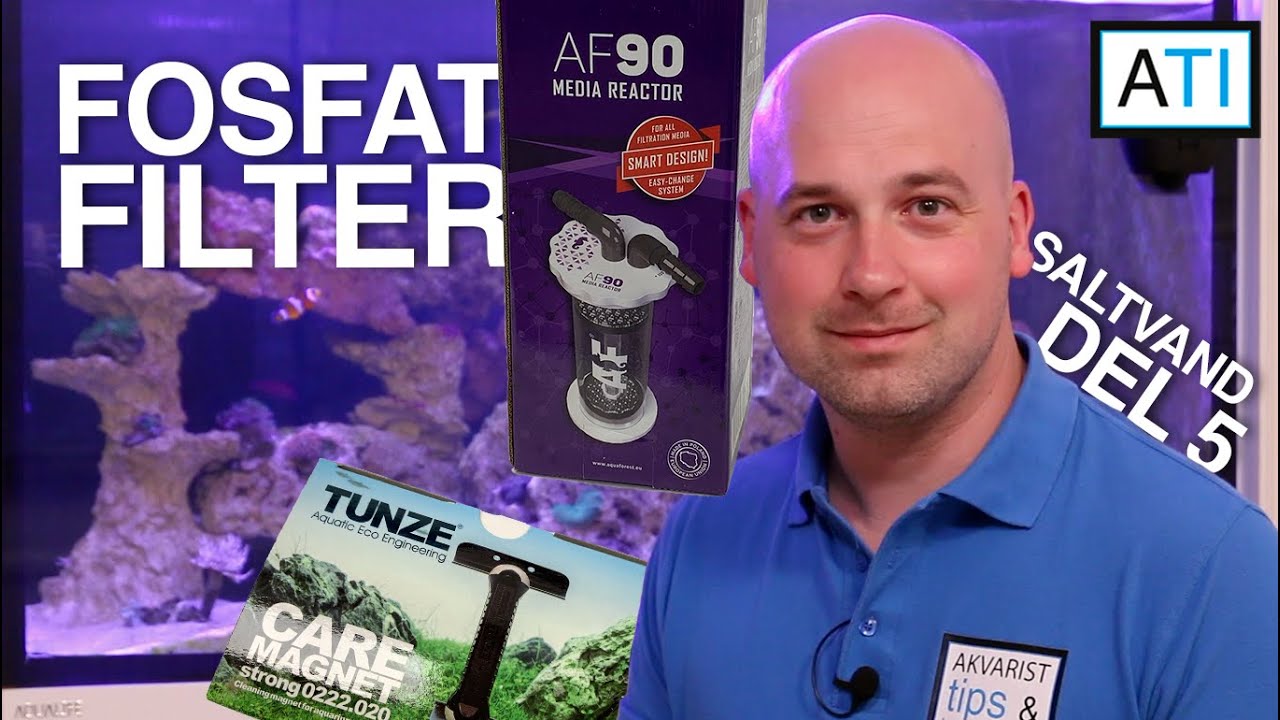Fosfat filter, algemagnet og flere dyr (Saltvand 330L - del 5)