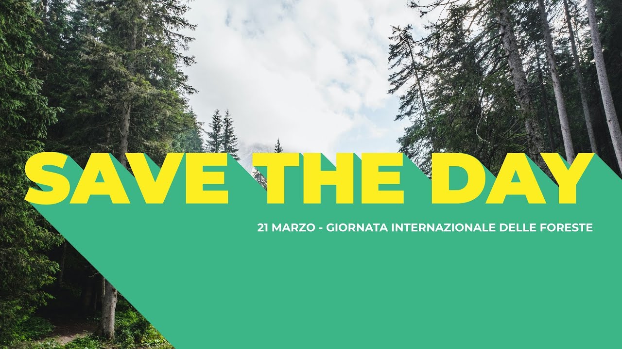 Giornata Internazionale delle Foreste 2022